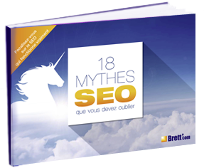 ebook 18 mythes SEO