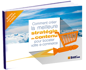 BRETTCOM e-book Stratégie de Contenu